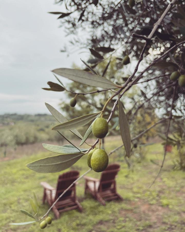 La Falconara Βίλα Montepulciano Stazione Εξωτερικό φωτογραφία