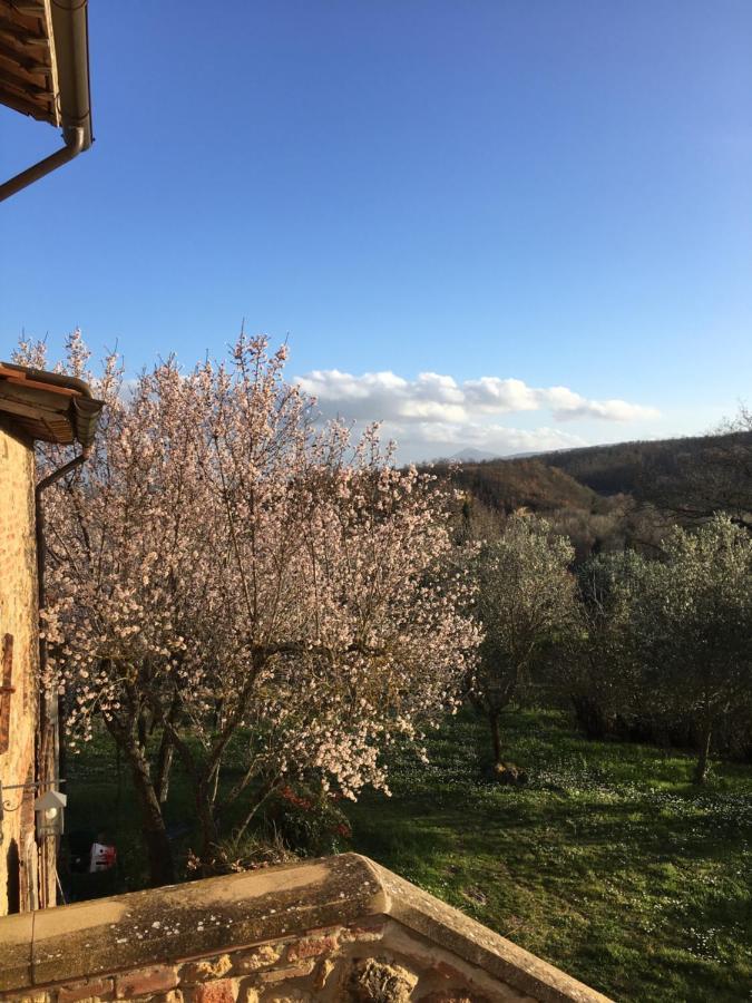 La Falconara Βίλα Montepulciano Stazione Εξωτερικό φωτογραφία